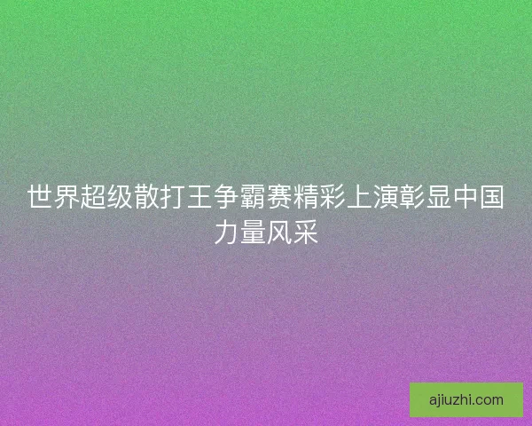 世界超级散打王争霸赛精彩上演彰显中国力量风采