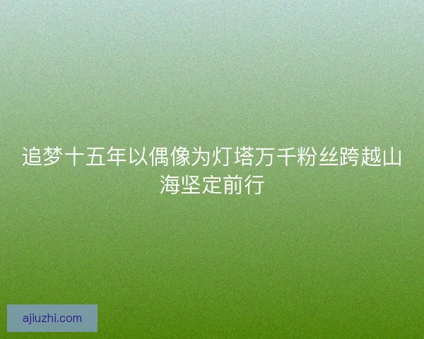 追梦十五年以偶像为灯塔万千粉丝跨越山海坚定前行